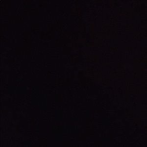 Meet your Posher, Frank